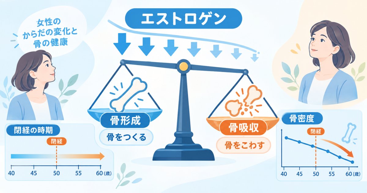 更年期になぜ骨密度が急に下がるのか－女性ホルモンと骨代謝の関係